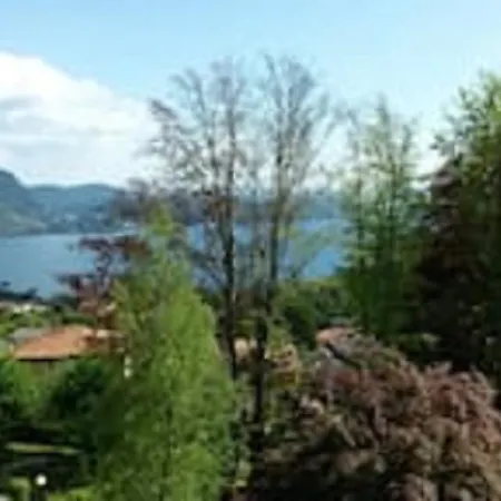 Lady 1 Verbania