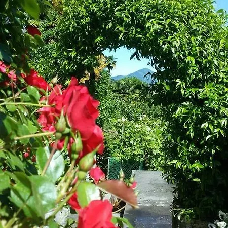Villa Lady 1 Verbania