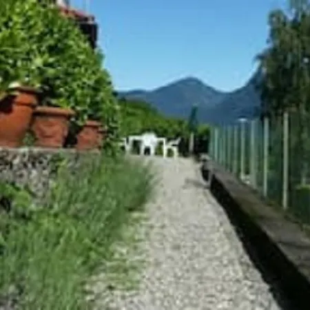 Lady 1 Verbania